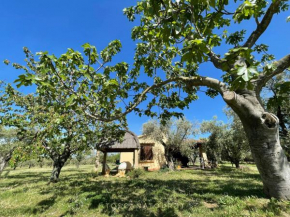 TOSCANA TOUR - Cottage I Ciliegi with aircon, fenced garden Cecina